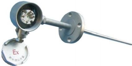 Explosion-Proof Thermocouple / RTD