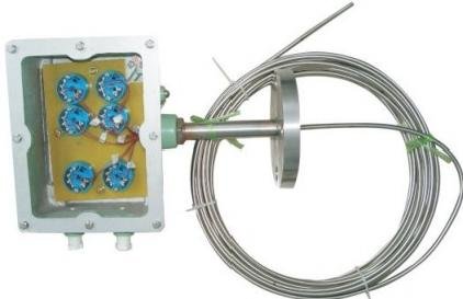 Multipoint Flameproof Thermocouple